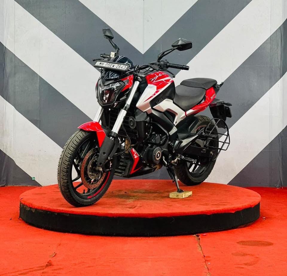 DOMINAR 250  2022